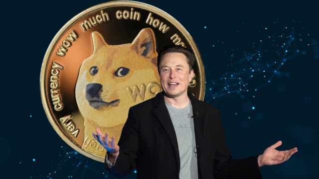 Elon Musk and Dogecoin